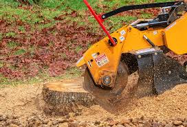 Best Emergency Tree Removal  in Fennville, MI